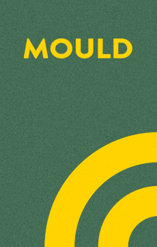 "The cover for the Mould video module."