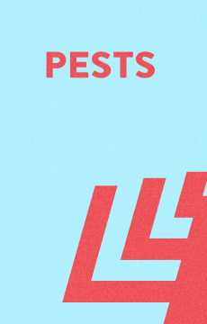 "The cover for the Integrated Pest Management video module."