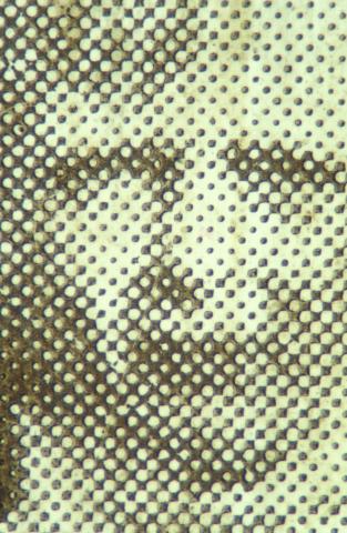 Detail of the child’s face showing the dot pattern left from the letterpress.