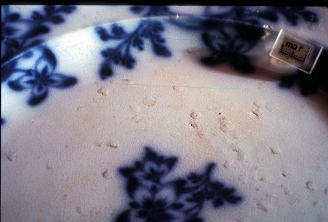 A ceramic plate with a delicate blue and white pattern has flaked damage to the surface due to contamination from salt.